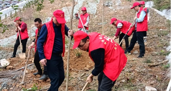 村企共建，共植先鋒林