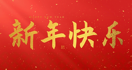 安特儀表集團有限公司祝大家2025新年快樂！